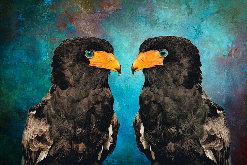 Bateleur with bright blue eyes - Colourful bird art by Saranda Foto Art