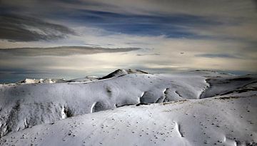 De mildheid van de winter van bruno blais
