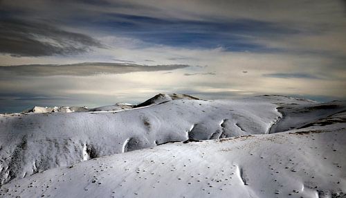 Die Milde des Winters