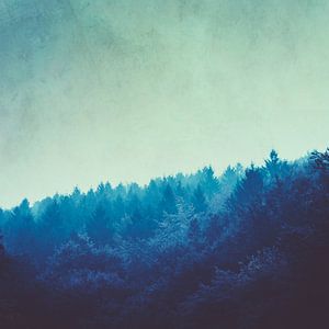 Blauer Wald im Morgennebel