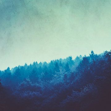 Blauw bos in ochtendmist van Dirk Wüstenhagen