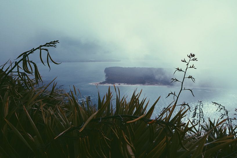 Mistige bergen Maunt Maunganui van yasmin