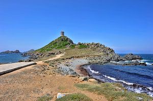 Pointe de la Parata by Martine Affre Eisenlohr