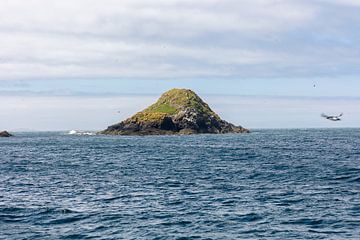 Island with flying puffin van SchumacherFotografie