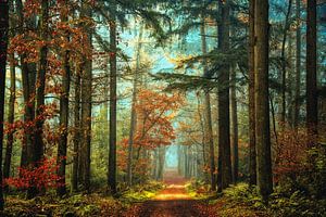 wo ist Rotkäppchen von Lars van de Goor