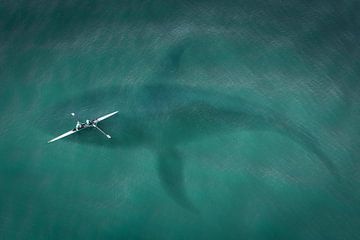 Canoe above Whale in the sea
