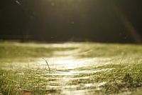 Lichtspiel zum Abend