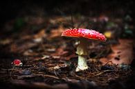 Herfst van Eus Driessen thumbnail