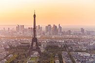 Eiffelturm in Paris von Werner Dieterich Miniaturansicht