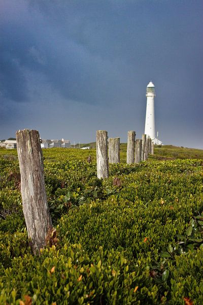 Zuid-Afrikaanse Kust van Marit Hilarius