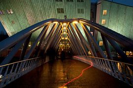 Nemo by night by Monique Struijs