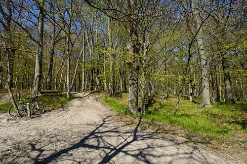 ad- Wanderweg  entlang am Naturstrand in der Goor