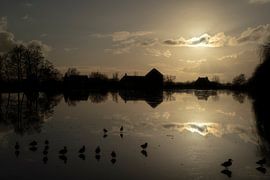 Ducks on the ice in Broek in Waterland by Manuuu