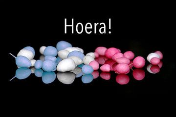 Hourra (Souris Bleu/Blanc Rose/Blanc) sur Henk Egbertzen