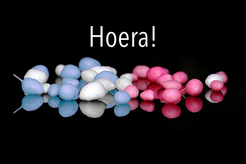 Hoera!   (Muisjes Blauw/Wit Rosse/Wit) van Henk Egbertzen