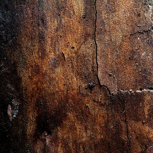 Birch bark 3 by Kees Brunia