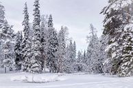 Paysage hivernal panoramique, Finlande par Rietje Bulthuis Aperçu