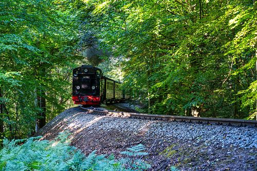 Een blik op de Racing Roland