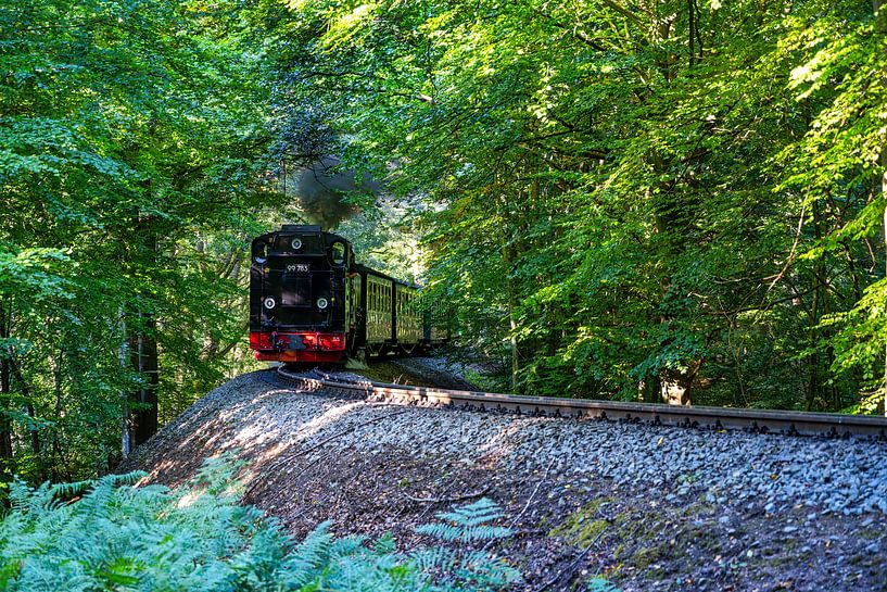 Een blik op de Racing Roland van Andreas Völkel
