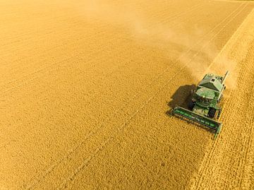 Combine die tarwe oogst in de zomer, van bovenaf gezien