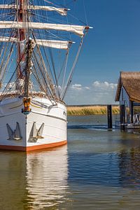 Windjammer im Boddenhafen von Zingst