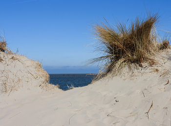 Mann, bist du unwiderstehlich   (Renesse)