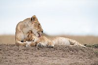 Mother love!