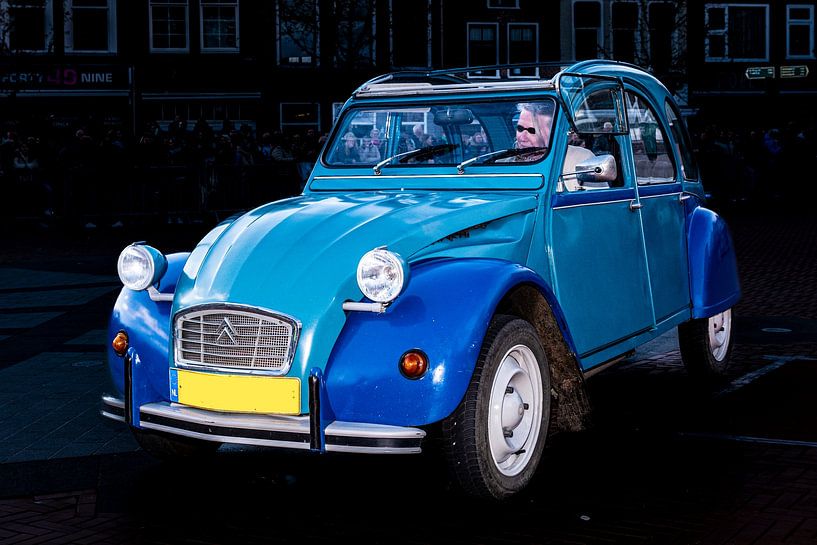 Lemon &quot;Duck&quot; by Brian Morgan