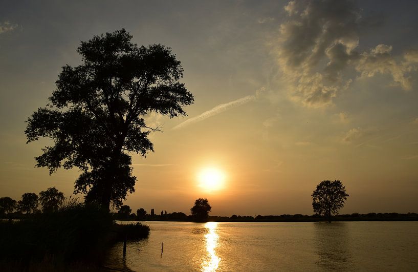 On the Maas by Kevin van Scherpenseel