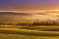 Limburg Golden Landscape by Stan Bessems thumbnail