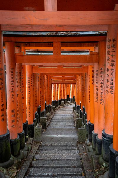 1000 portes de temple par The Wandering Piston