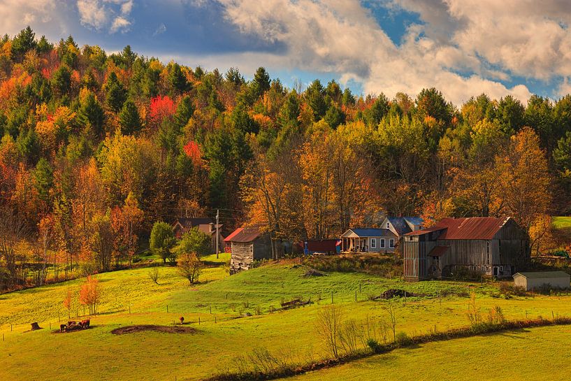 L'automne dans le Vermont par Henk Meijer Photography