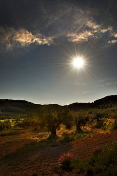 Spaans landschap van Harrie Muis