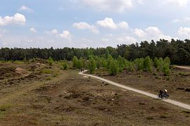 Braamberg Veluwe
