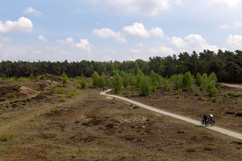 Braamberg Veluwe by Richard Wareham