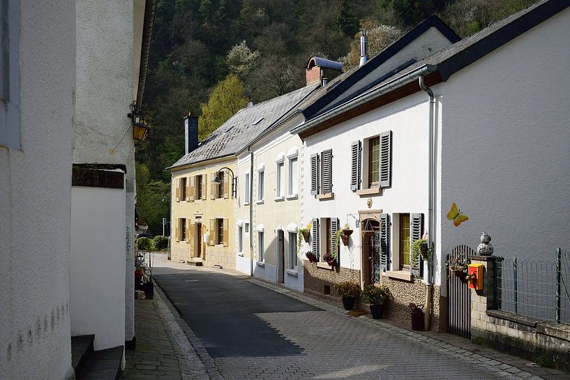 Zonnige straat van Frank's Awesome Travels