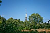 Hilversum, heksenweitje en televisie toren van Pascal Raymond Dorland thumbnail