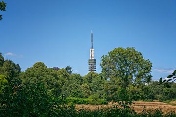 Hilversum, heksenweitje en televisie toren