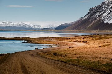 De weg naar Vestrahorn op Stokksnes schiereiland, IJsland