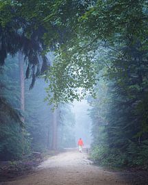 Mastbos (format 4:5) by Bob Vandenberg