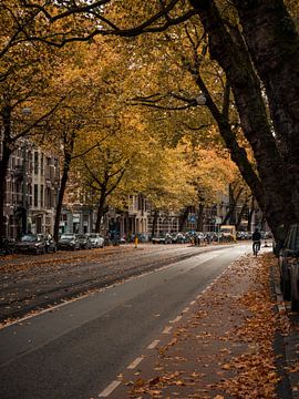 Ceintuurbaan in autumn #1 by Roger Janssen