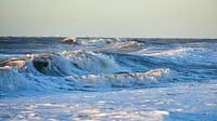The sea