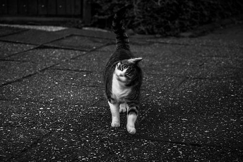 Étrangement familier 10