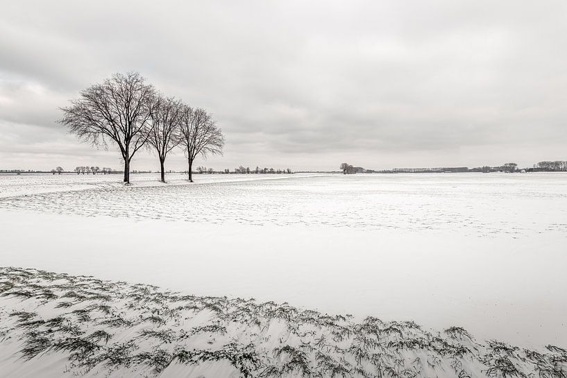 Dutch landscape on a freezing winter's day by Ruud Morijn