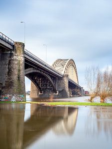 Nijmegen Hochwasser #4 von Lex Schulte