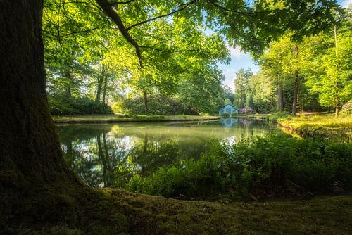 Het blauwe boothuis in het bos