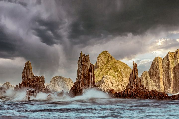 Wild Gueirua III van <span class="secondary-font">Lars van de Goor</span>