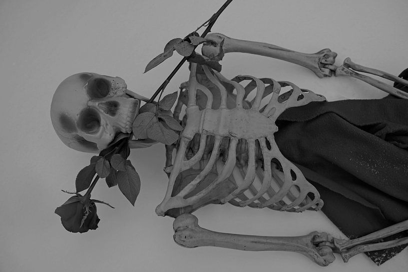 Ewige Liebe Skelett mit roter Rose in weißem Schnee von Babetts Bildergalerie