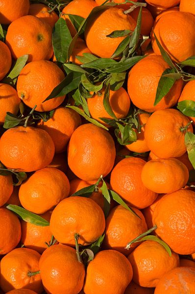 Tangerines for sale in Benaguasil by Margot van den Berg