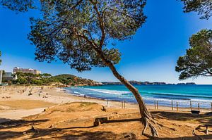 Idyllischer Strand Platja la tora in der Bucht von Paguera, Insel Mallorca, Spanien